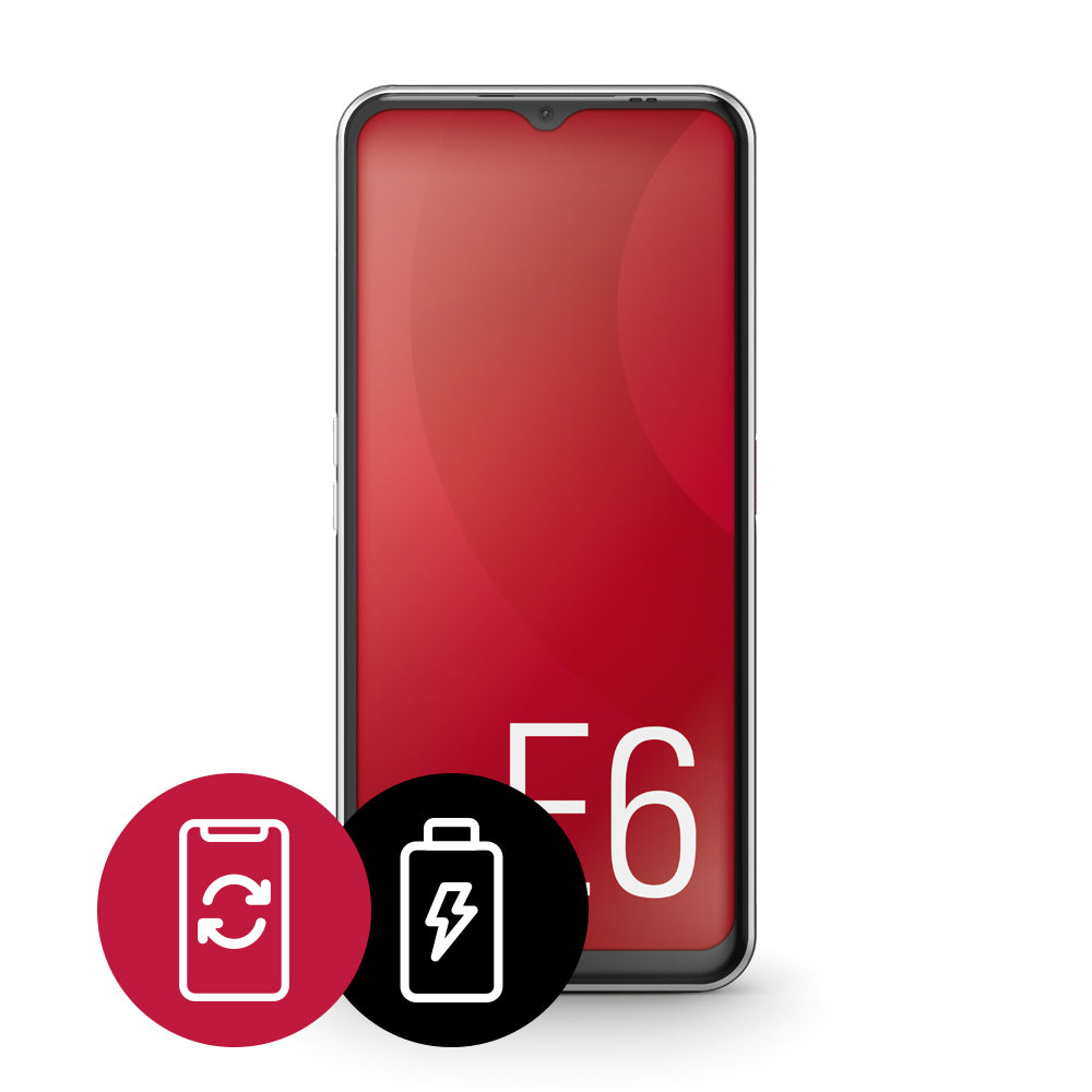 Display- & Batterietausch für emporia Smartphone